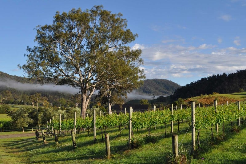 where to propose in brisbane