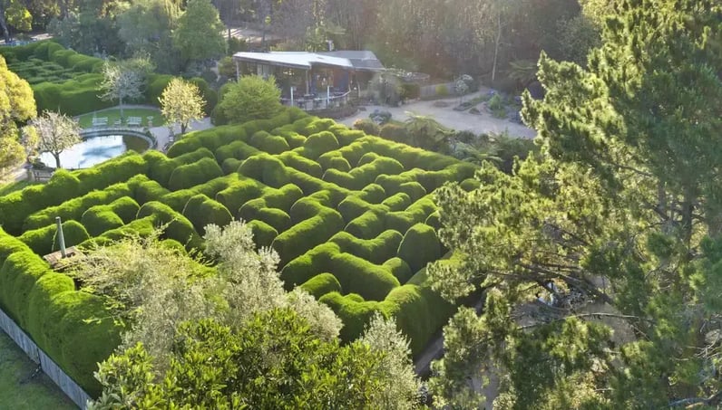 Ashcombe Maze and Lavender Gardens