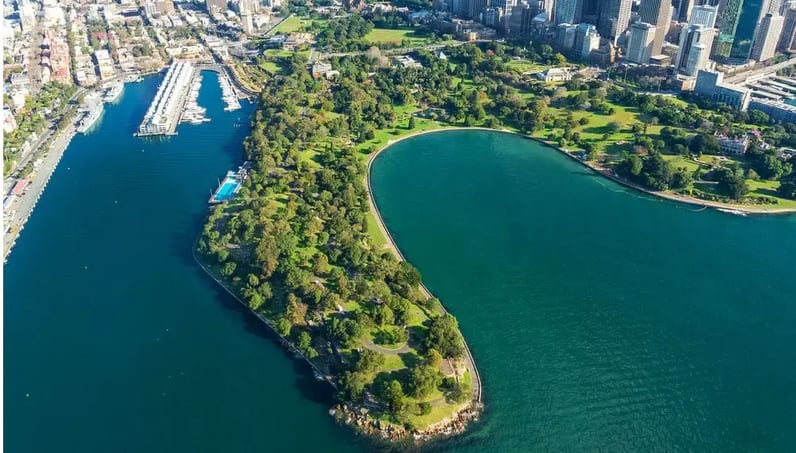 The Royal Botanic Garden