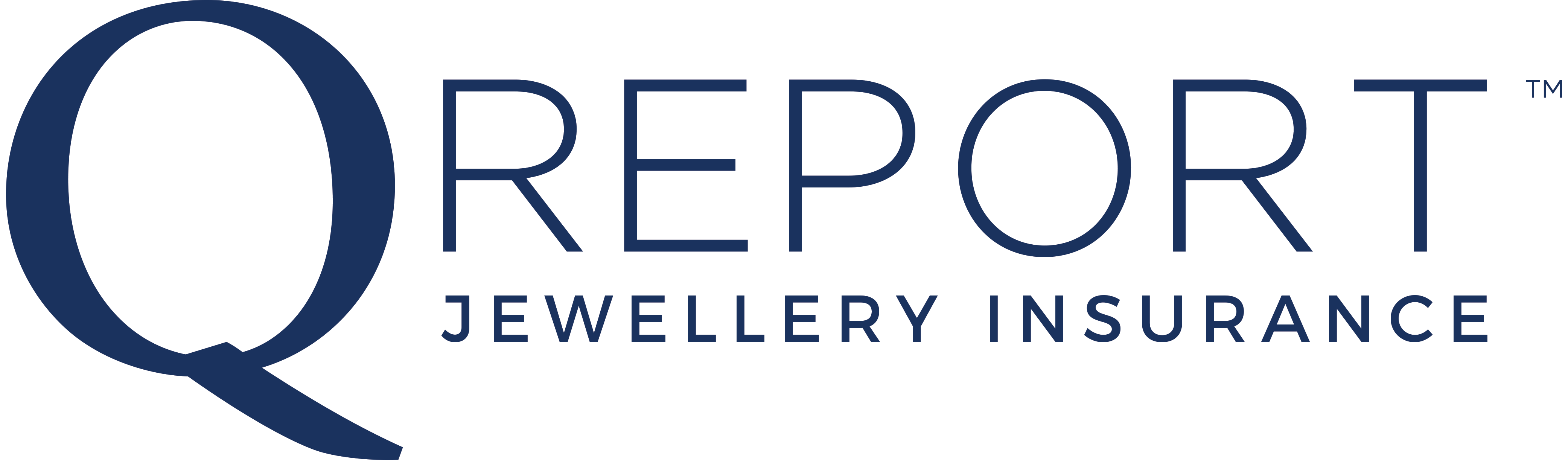 q-report-logo-high (1)
