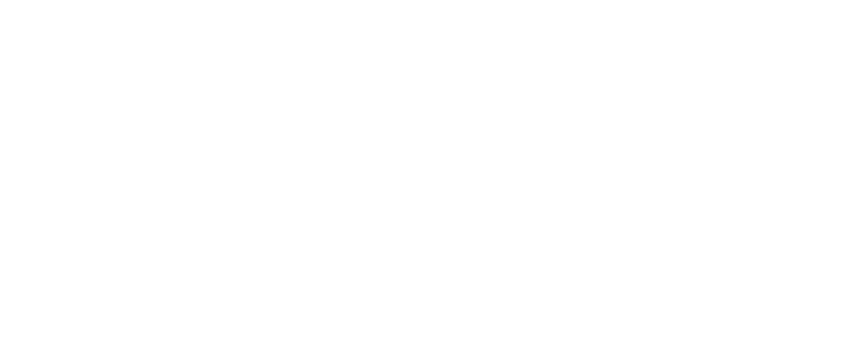 q-report-logo-white_transparent-01 (5)