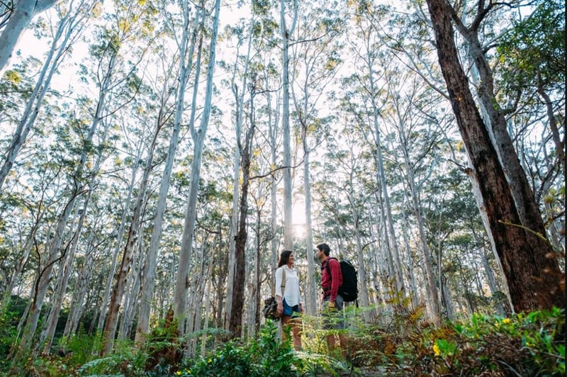 best place to propose in perth​