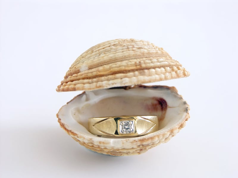 beach proposals