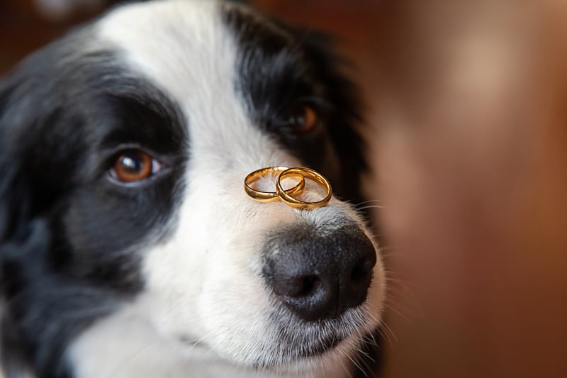marriage proposal australia